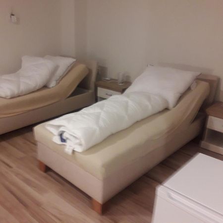 Turisticka Ubytovna Hotel Divín Buitenkant foto