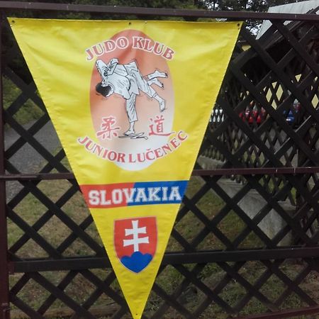 Turisticka Ubytovna Hotel Divín Buitenkant foto