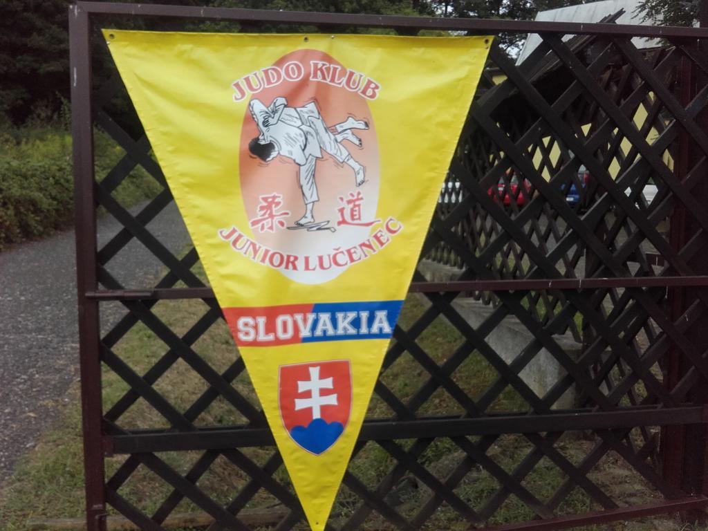 Turisticka Ubytovna Hotel Divín Buitenkant foto