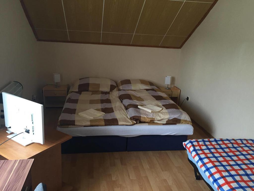 Turisticka Ubytovna Hotel Divín Buitenkant foto